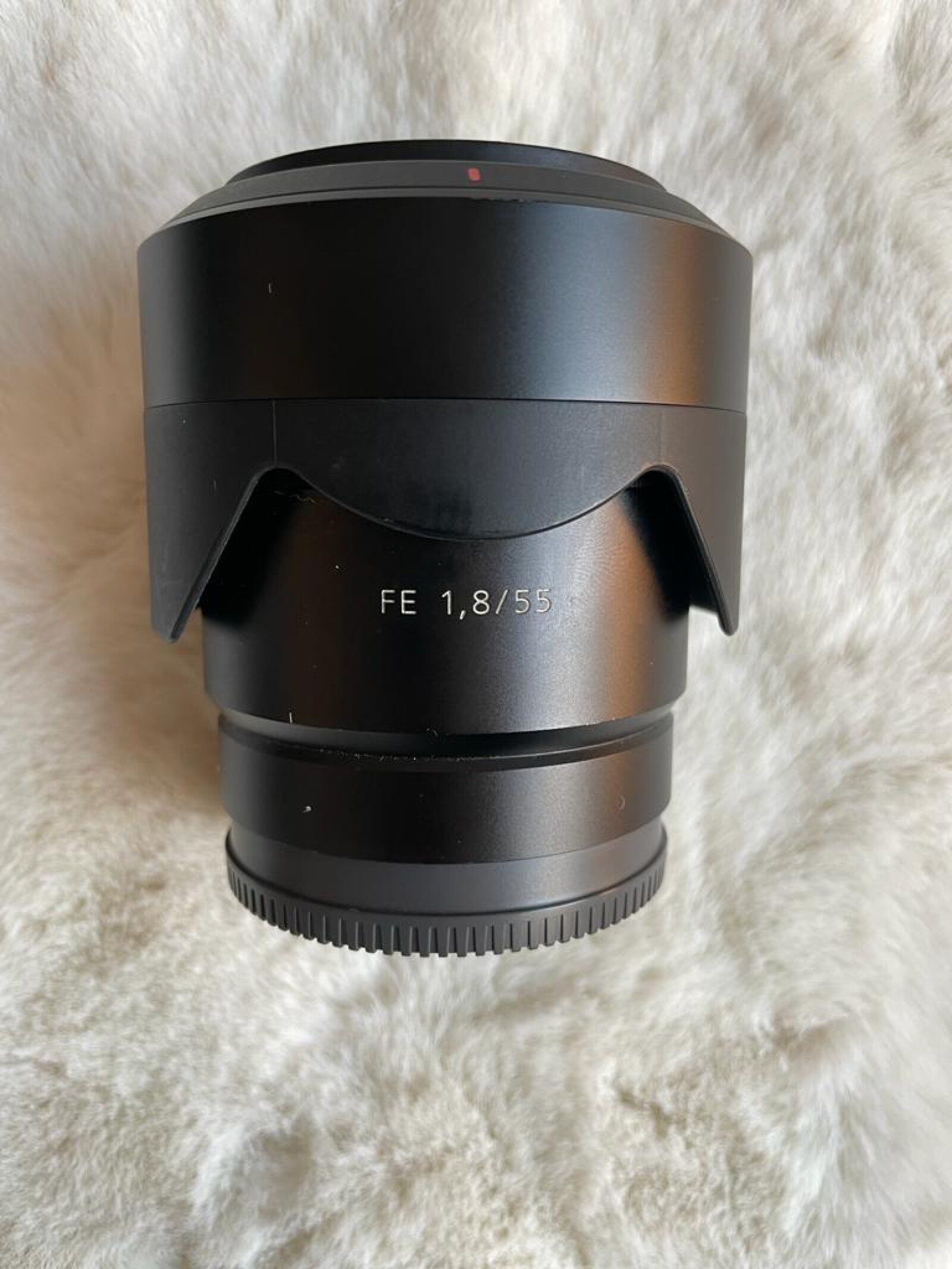 Sony 55mm f/1.8 - Photo 4 sur 5