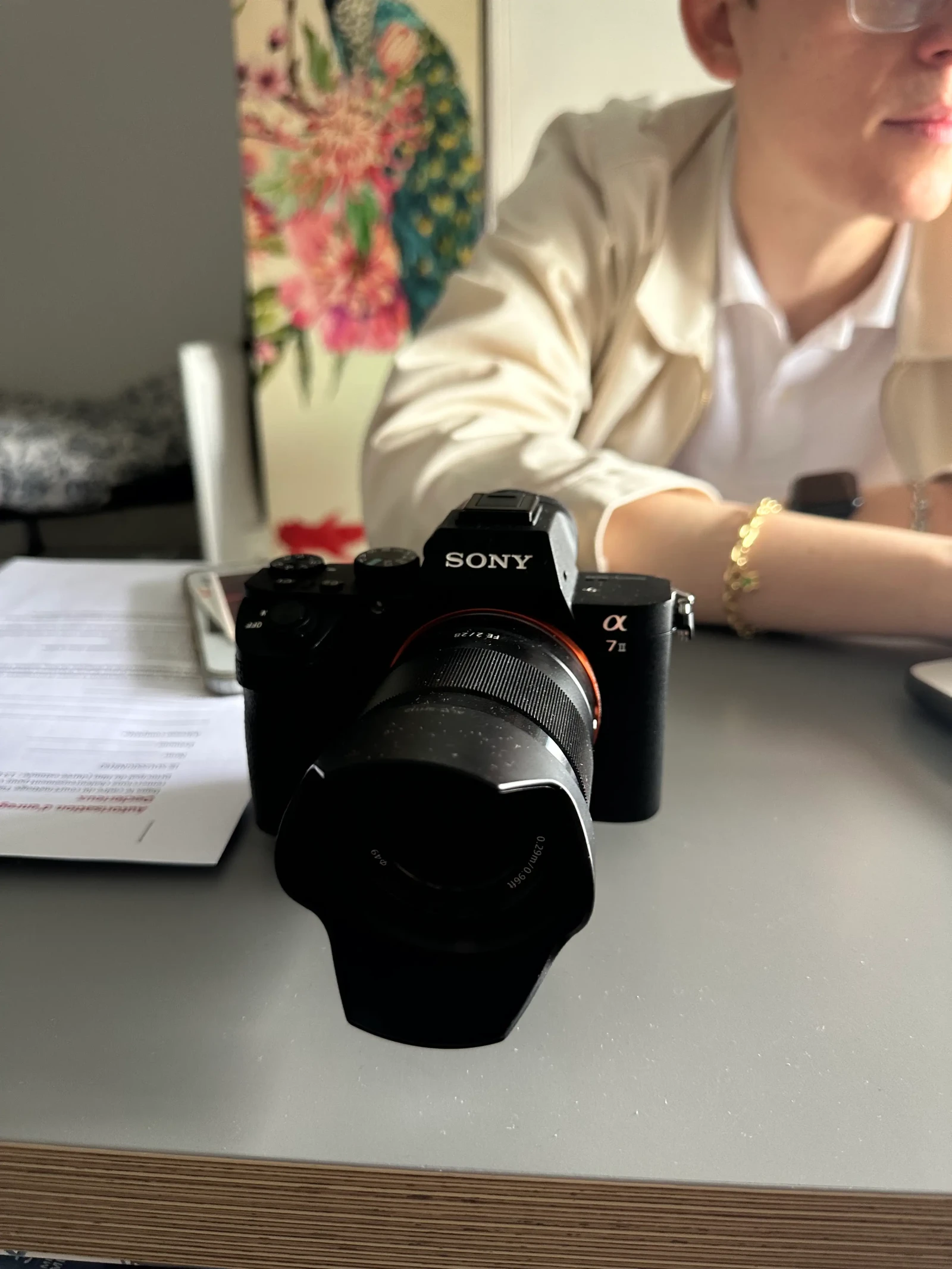 Sony Alpha 7 II (A72) - Photo 5 sur 6