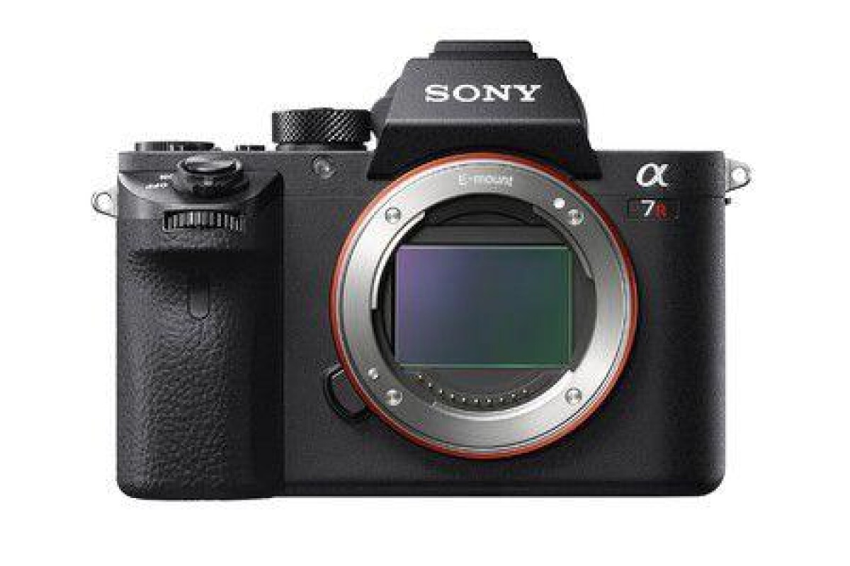 Location Sony Alpha 7RII + Bague MC11 Sigma (Canon) - Lightyshare