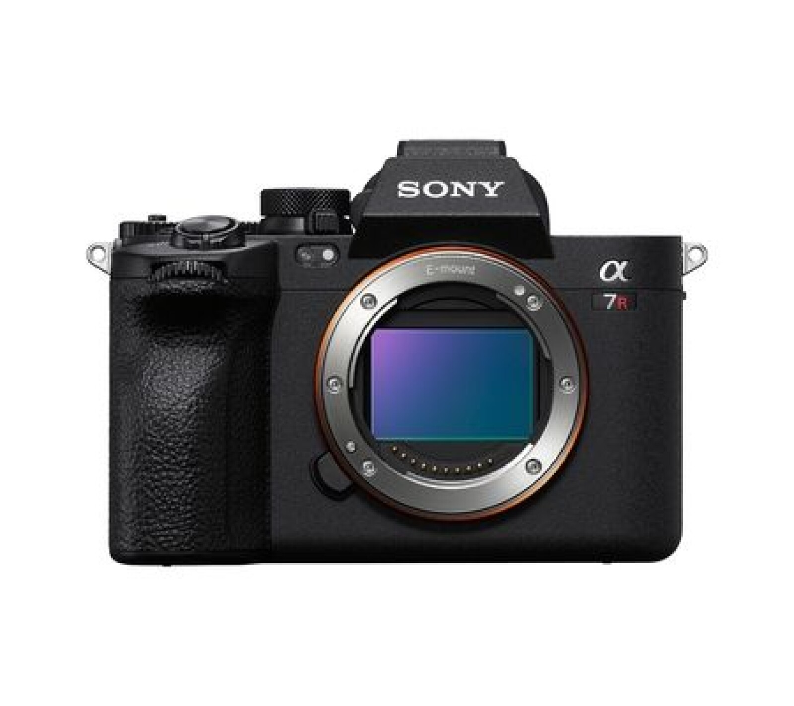 Sony A7R V - Photo 1 sur 1