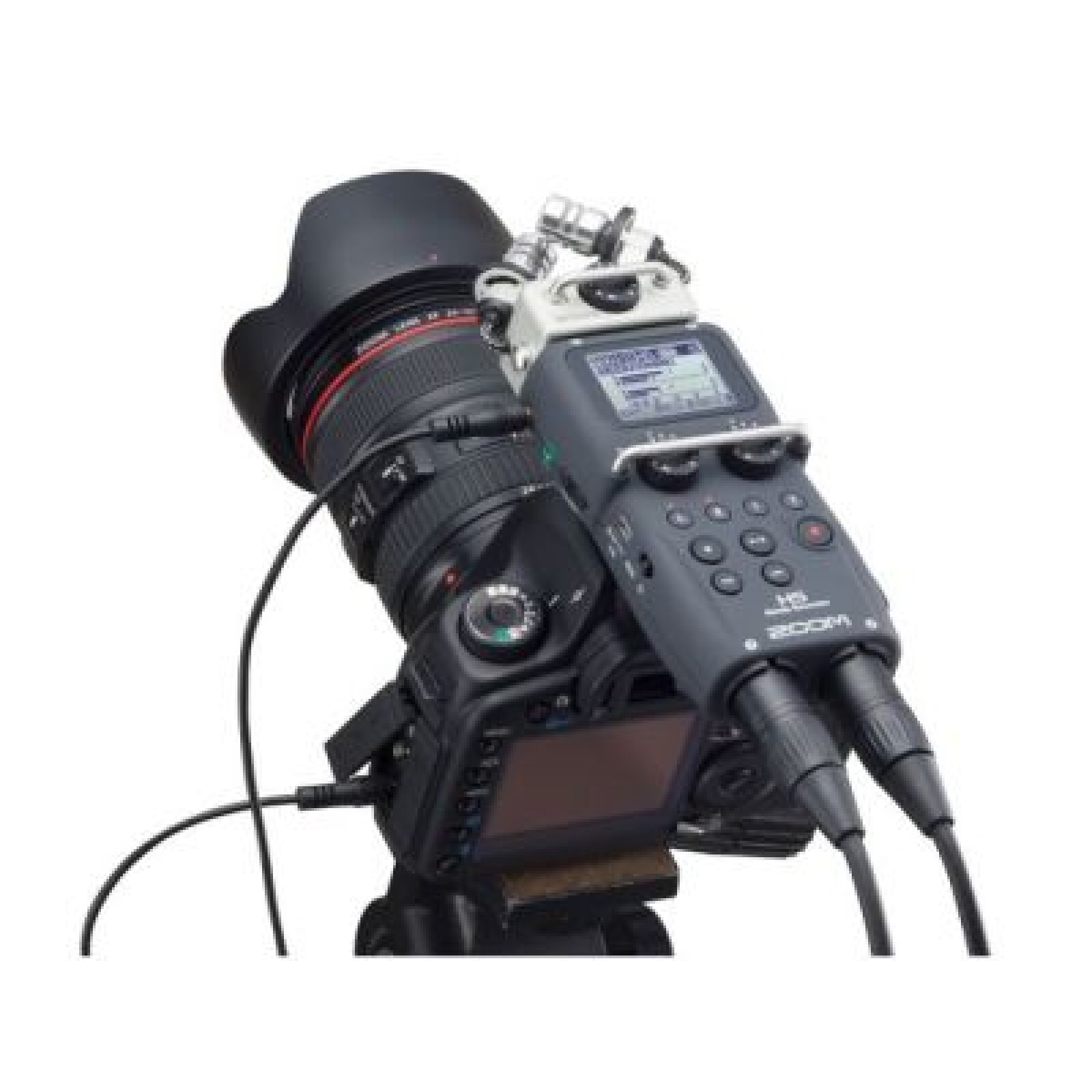 Zoom H5 - Photo 2 sur 2