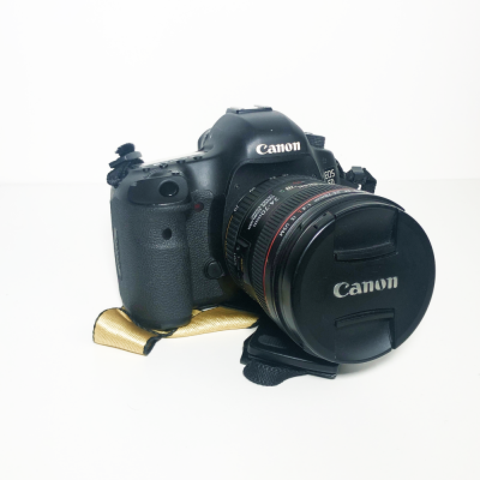 Canon 5D Mark III - Photo 2 sur 3