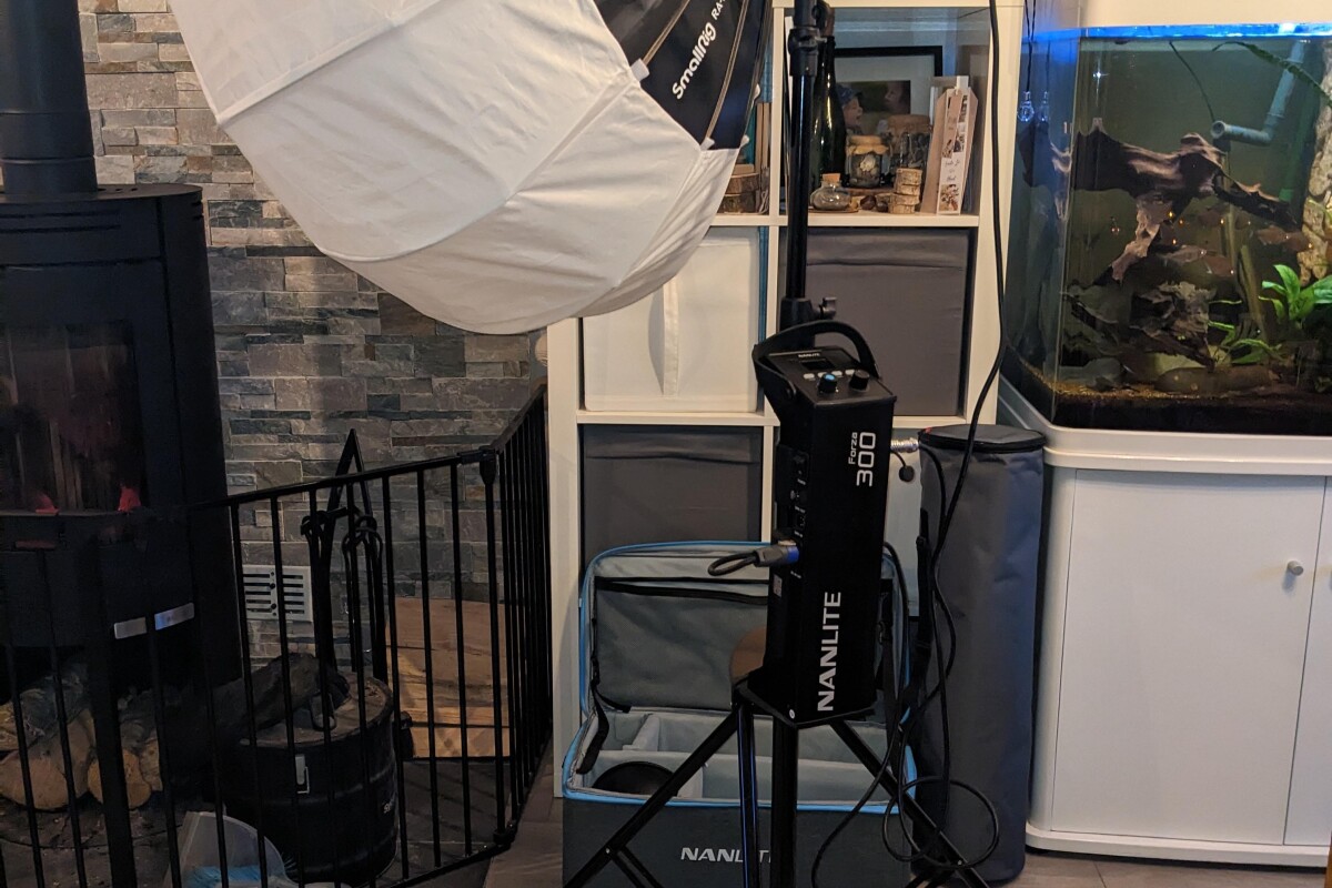 Location Projecteur Nanlite LED Forza 300 avec trépied, softbox et boule chinoise  - Lightyshare