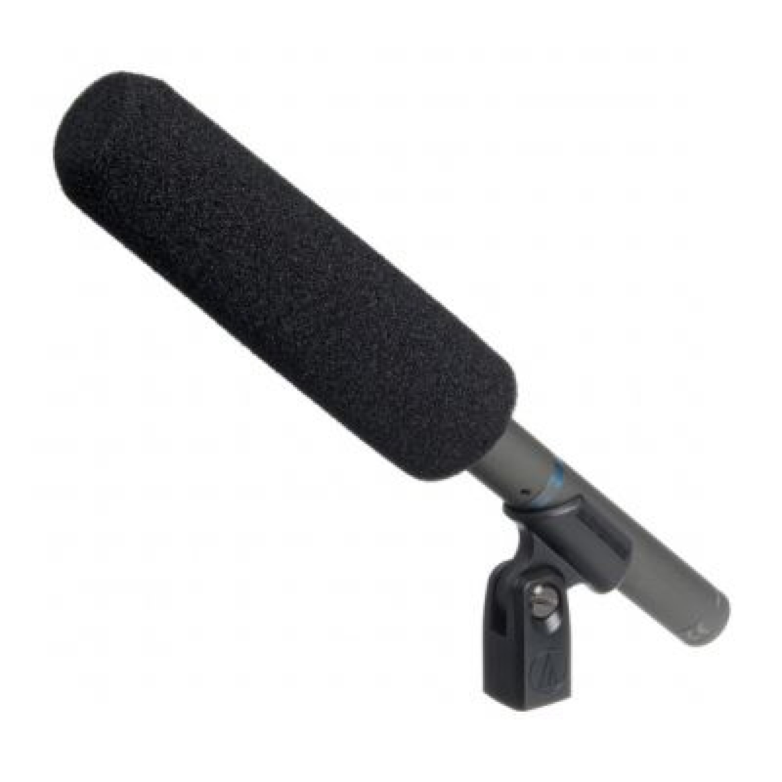 Micro canon (directionnel) - Photo 1 sur 1