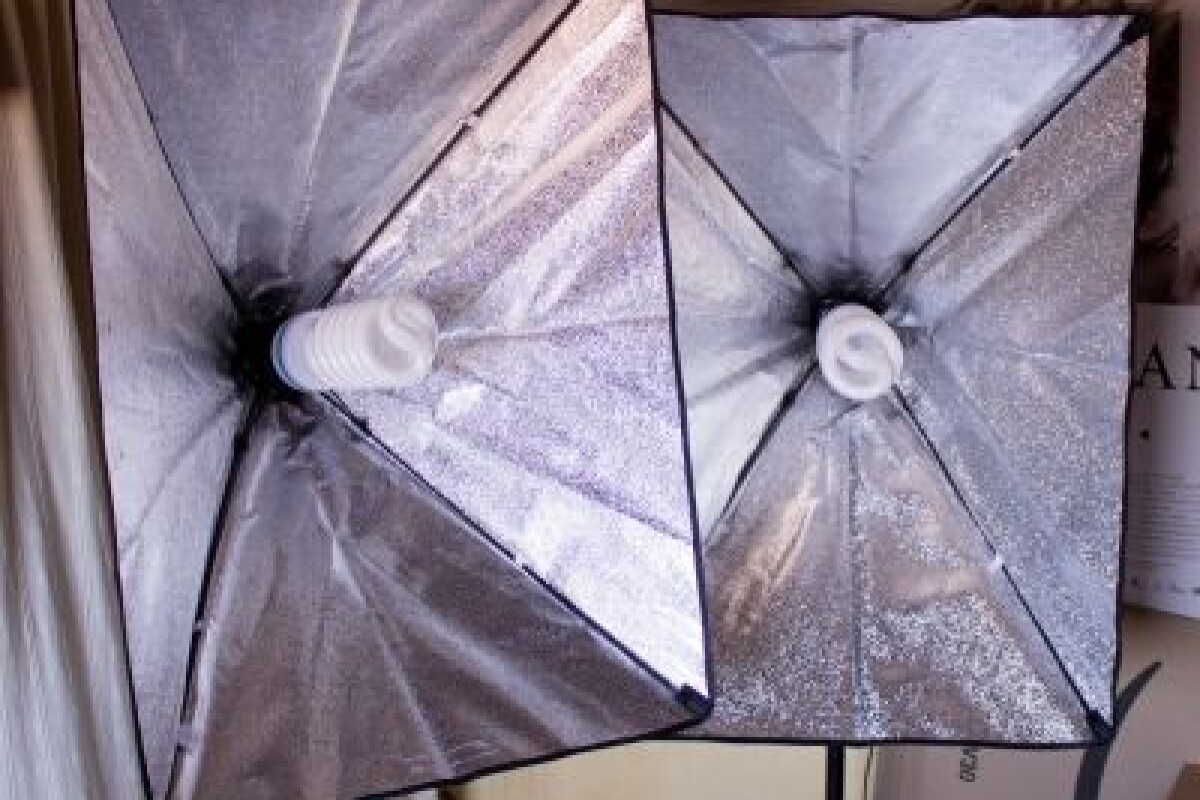 Location Pack 2 Softbox Fluocompact 135W + Trépieds - Lightyshare