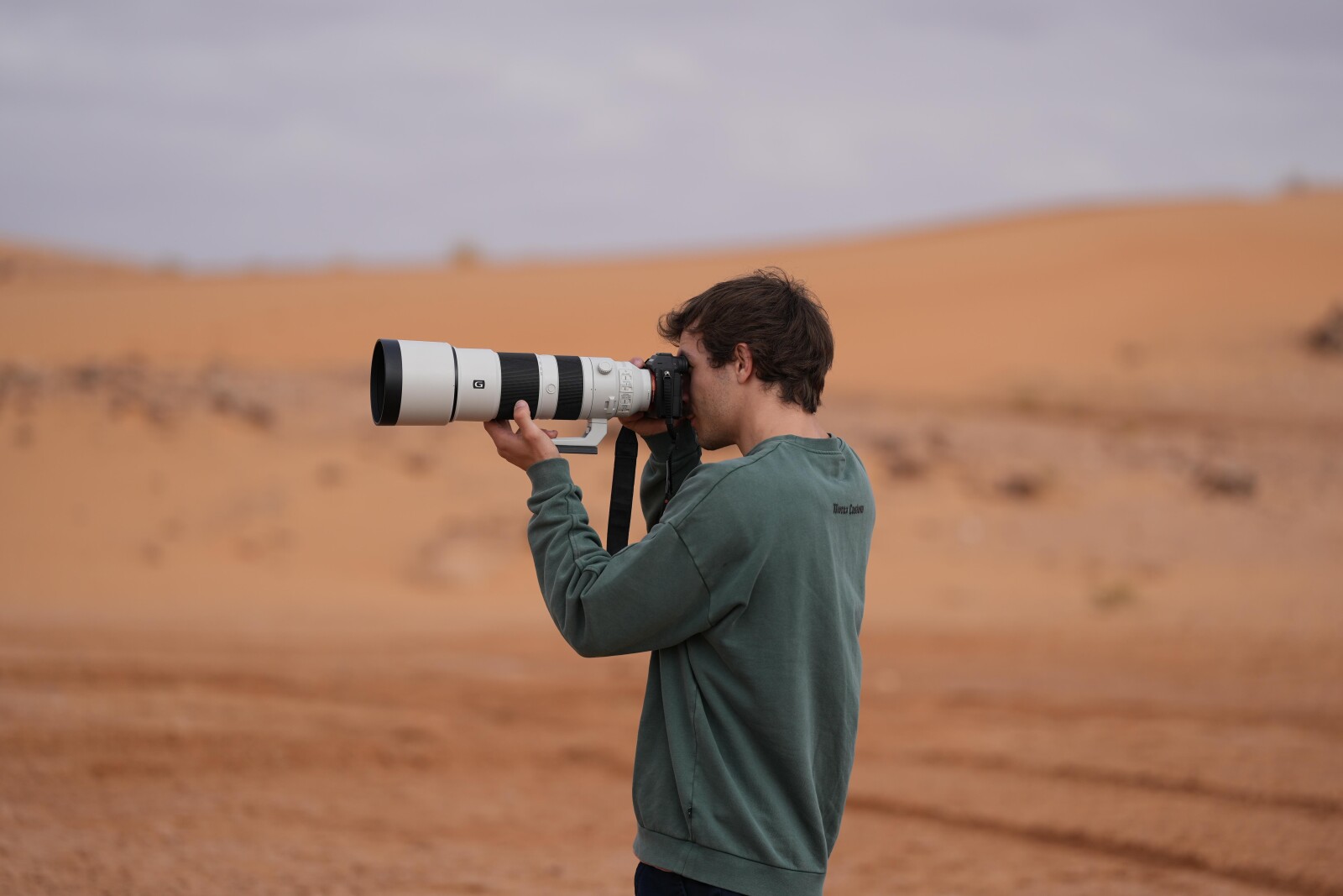 Téléobjectif Sony FE 200 – 600 mm F5.6 – 6.3 G OSS - Photo 3 sur 3