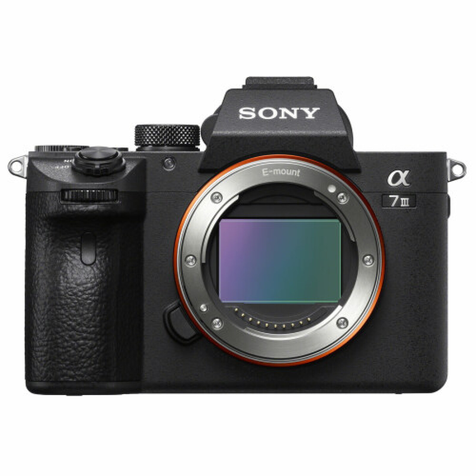 Sony Alpha 7 III (A73) - Photo 1 sur 3