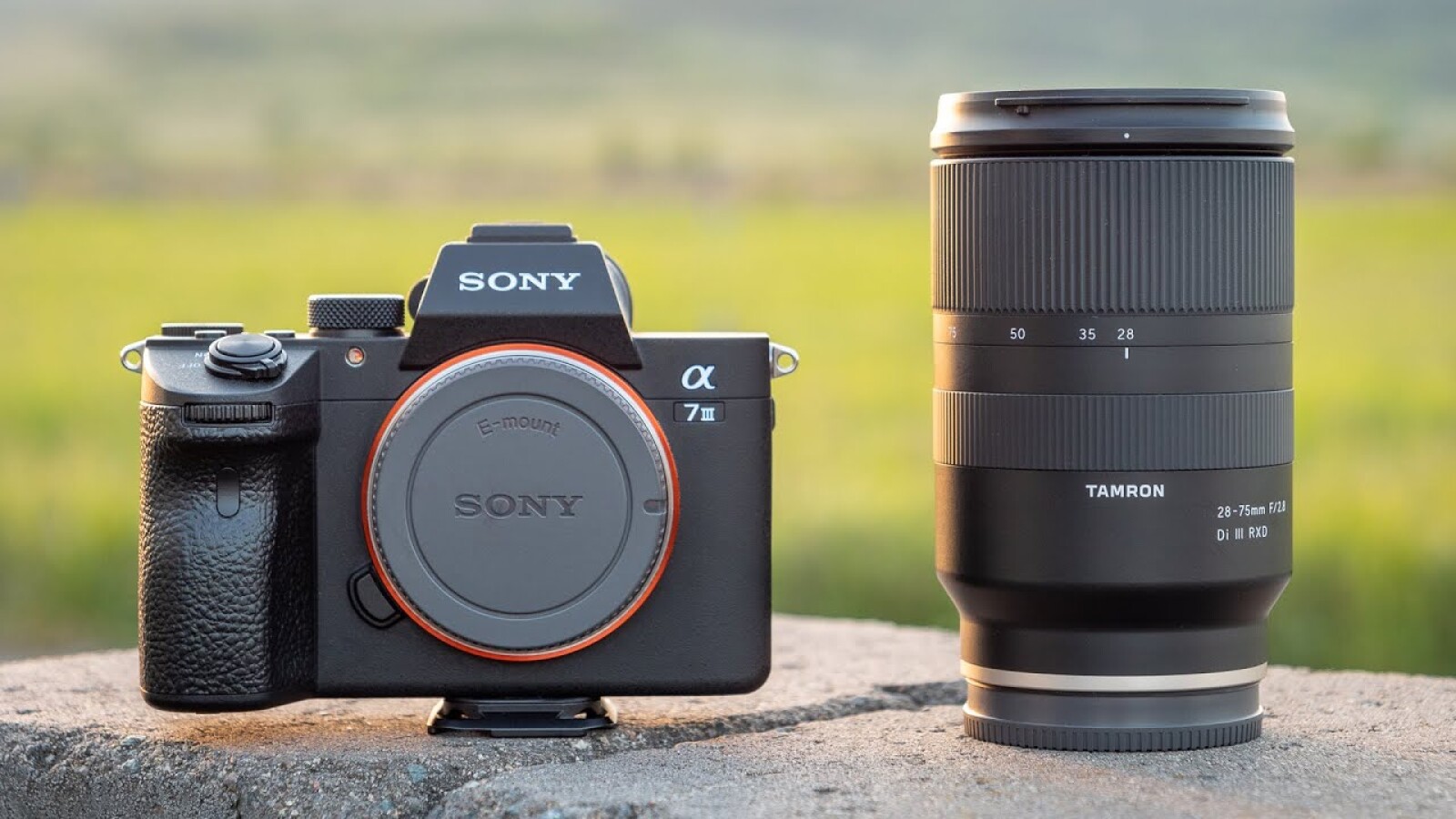 Pack Sony A7iii + Tamron 28-75mm f/2.8 Di III RXD - Photo 1 sur 4
