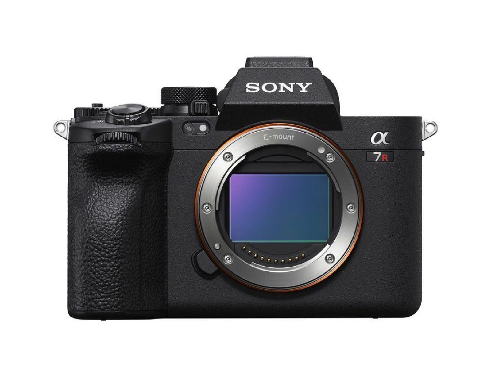 SONY A7RV  - Photo 1 sur 2