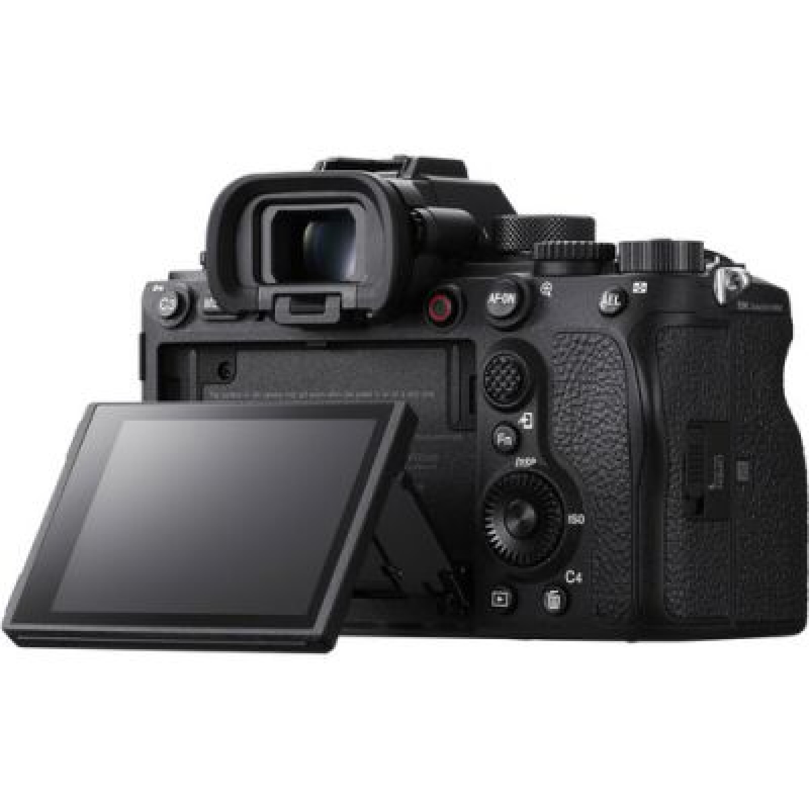 Sony Alpha 1 - Photo 3 sur 5