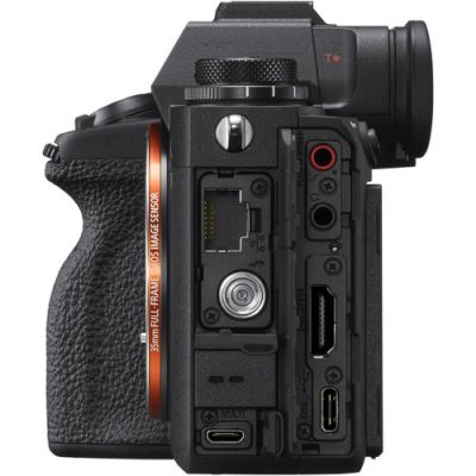 Sony Alpha 1 - Photo 5 sur 5
