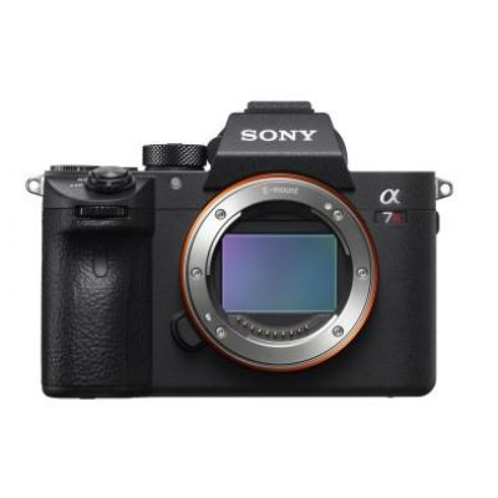 Sony Alpha 7R III (A7R3) - Photo 1 sur 4