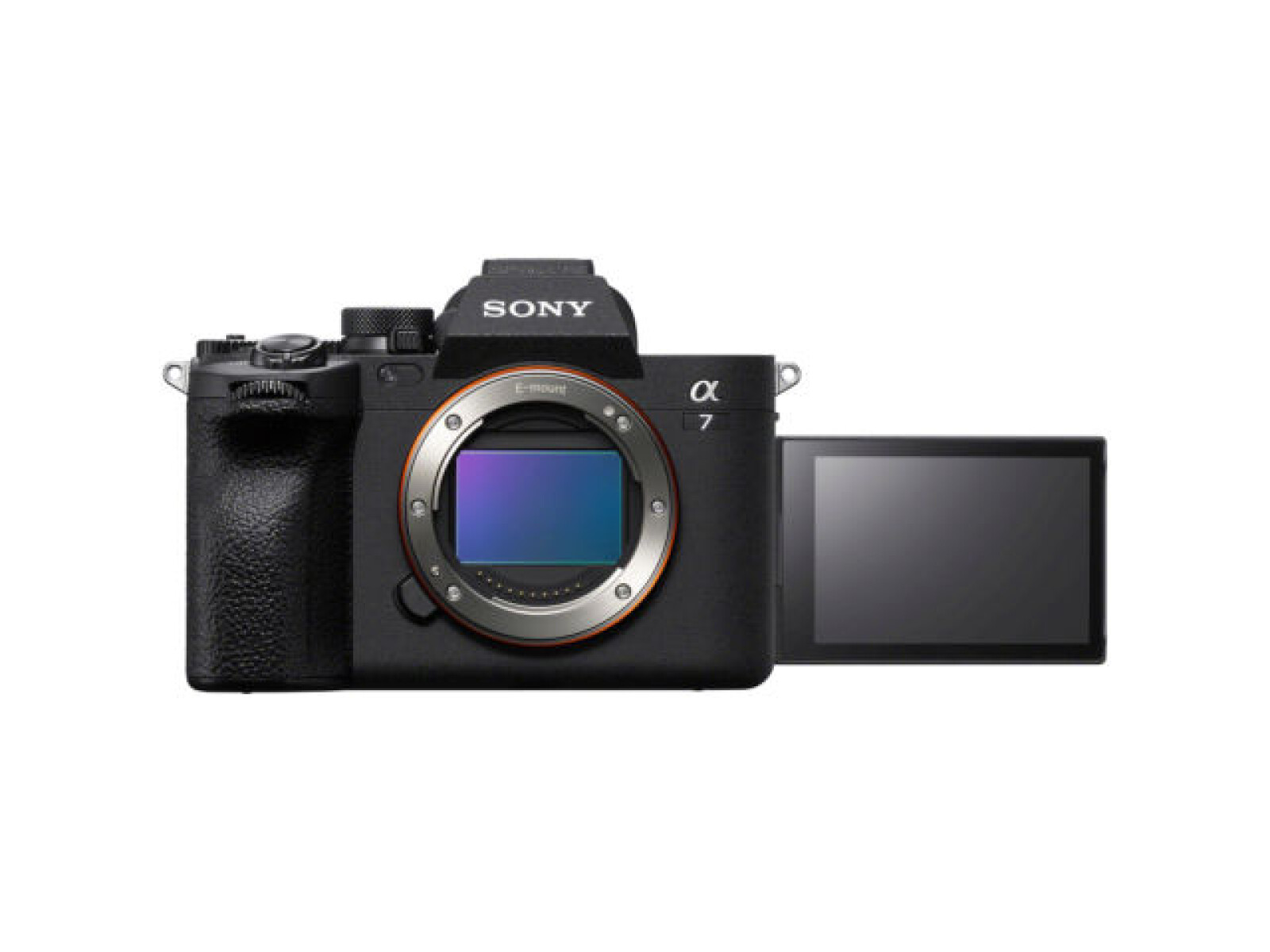 Sony Alpha 7 IV (A74) - Photo 2 sur 4