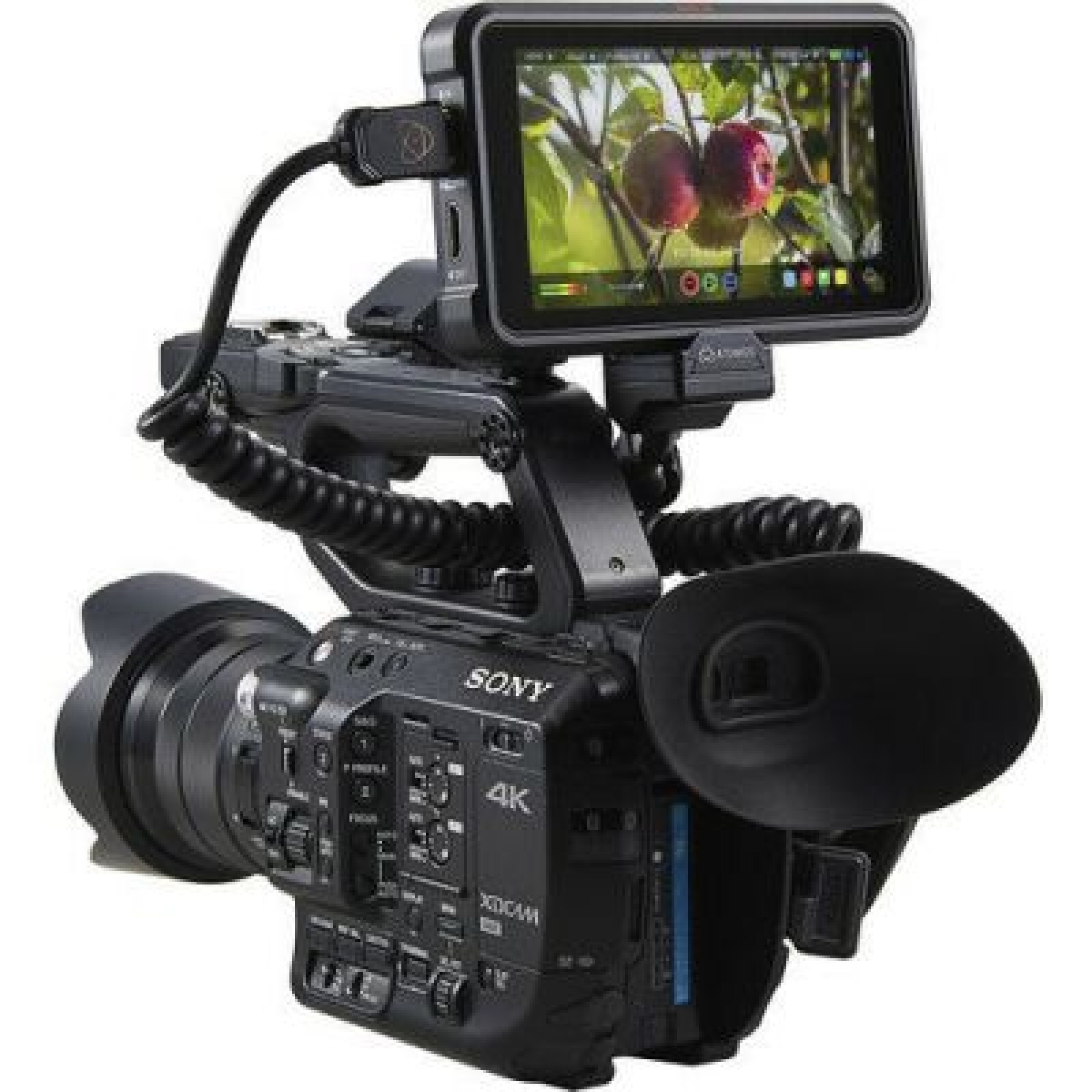 Atomos Ninja V+ - Photo 2 sur 5