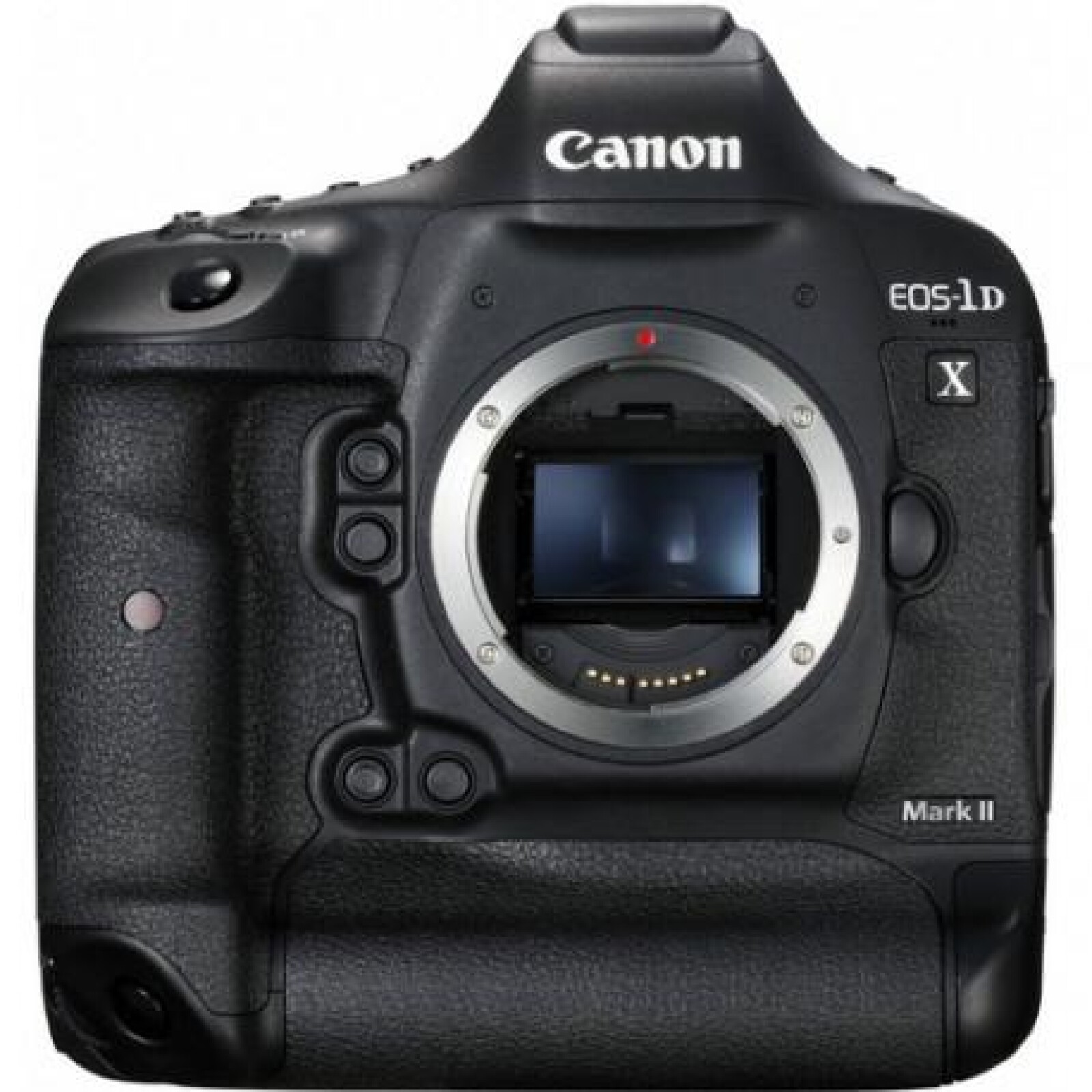 Canon 1D X Mark II - Photo 1 sur 4