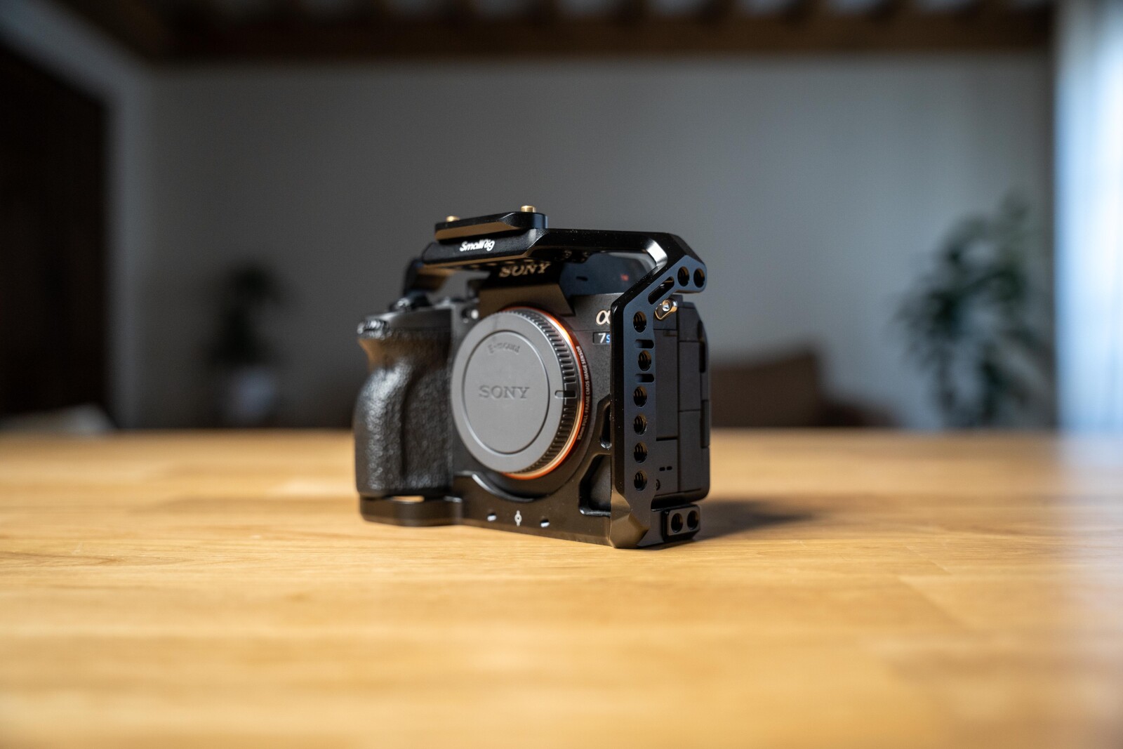 Sony Alpha 7S III (A7S3) - Photo 2 sur 5