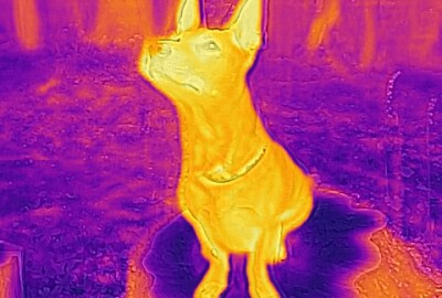 Location FLIR ONE GEN 3 - Caméra thermique (iOS)