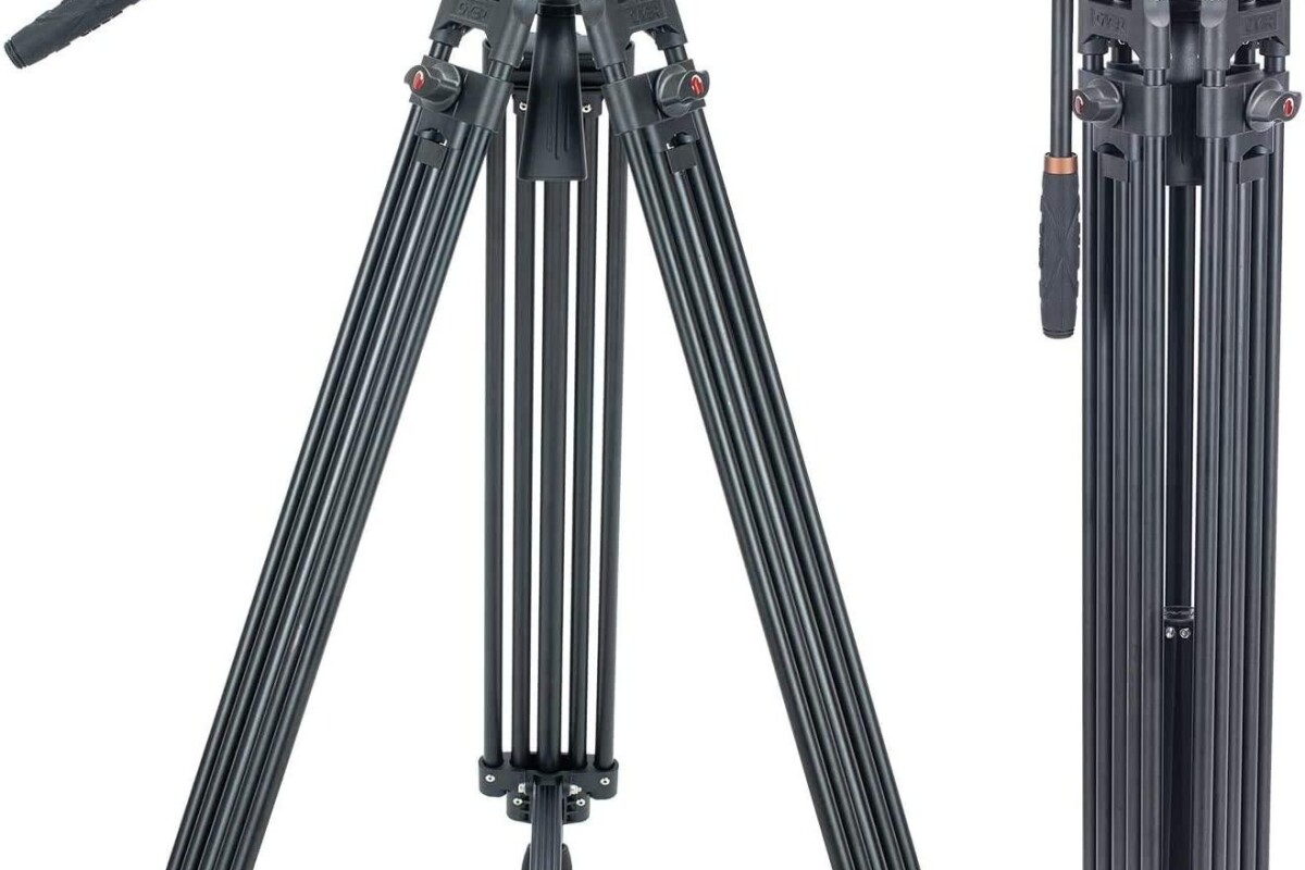 Location cayer Cayer BV30L 72 Pouces - Lightyshare