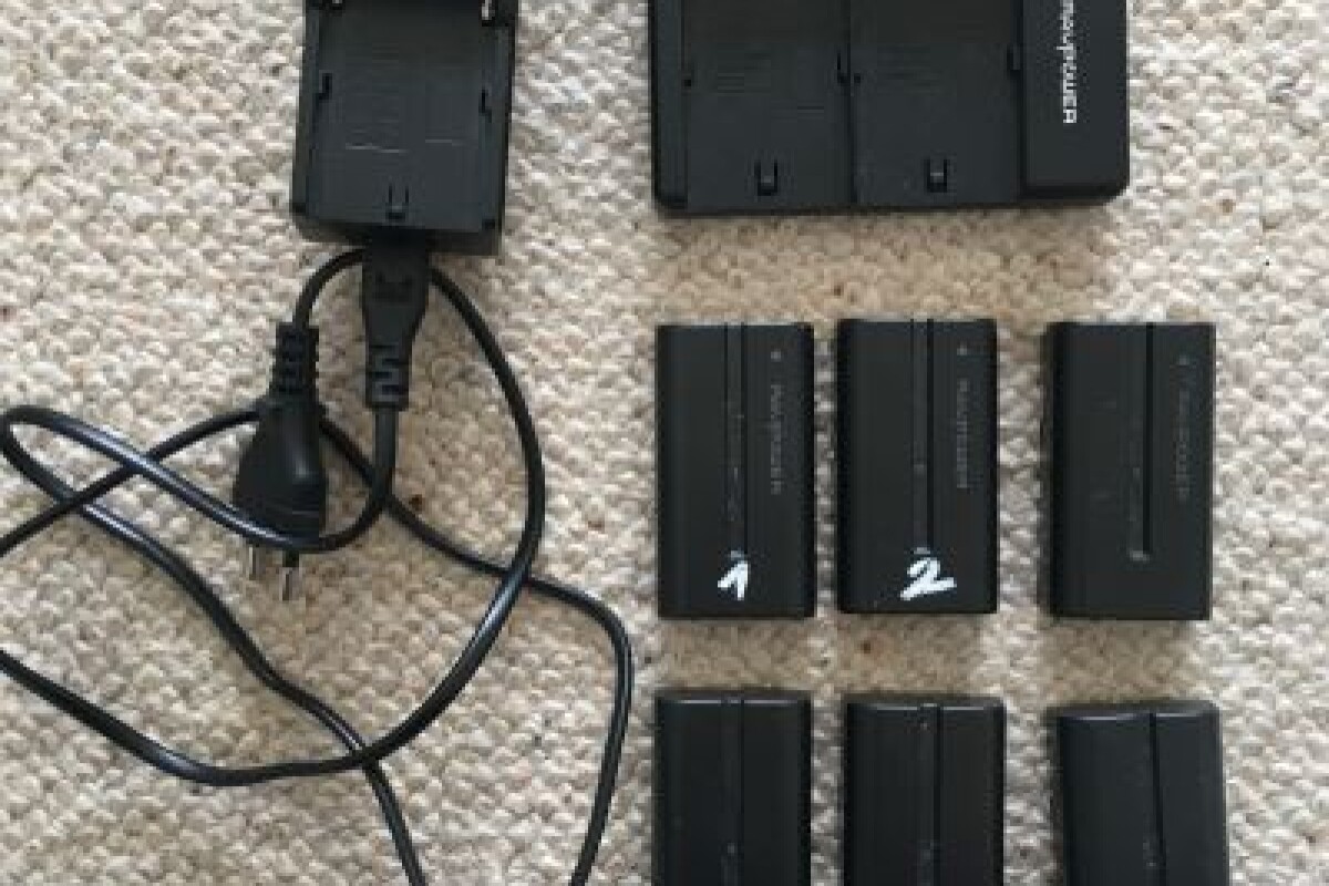 Location 6x Batteries NP-F550 Sony + 3x Chargeurs - Lightyshare