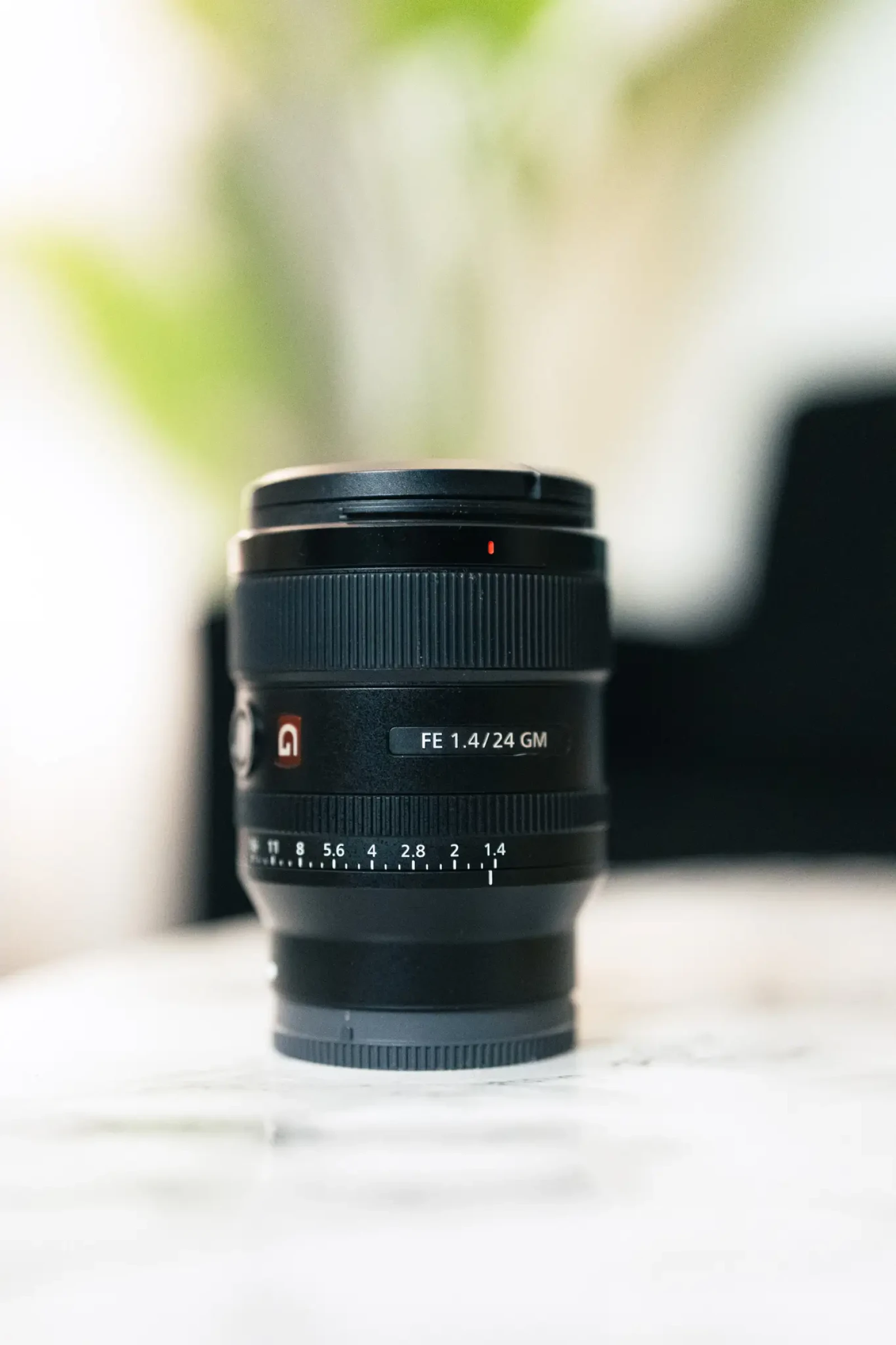 Sony FE 24mm f/1.4 GM - Photo 1 sur 1