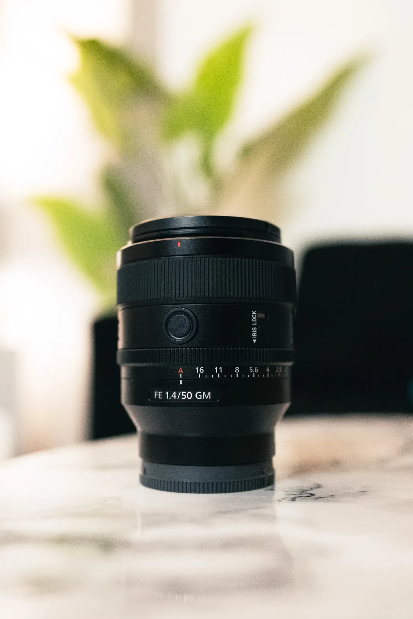 Sony FE 50mm f/1.4 GM - Photo 1 sur 1