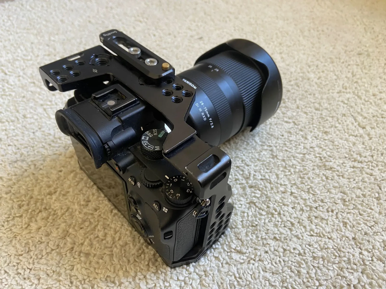 Sony Alpha 7 III (A73) - Photo 1 sur 3
