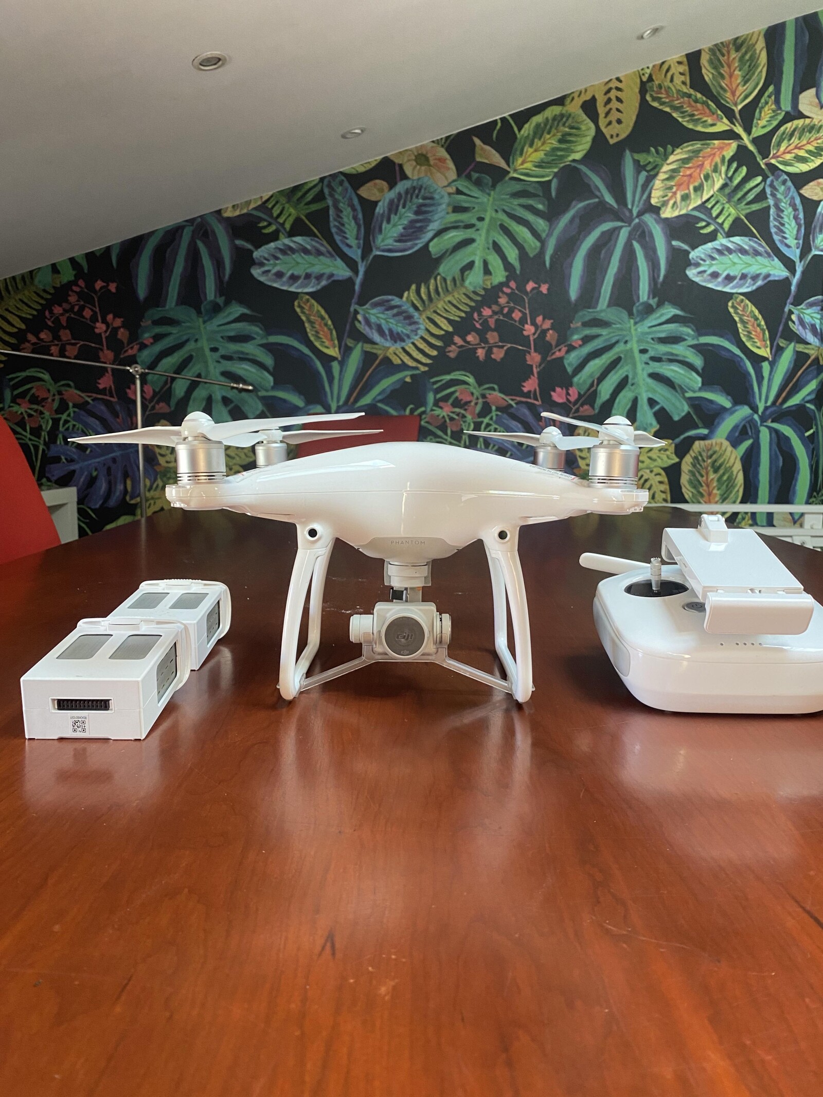 DJI Phantom 4 - Photo 1 sur 3
