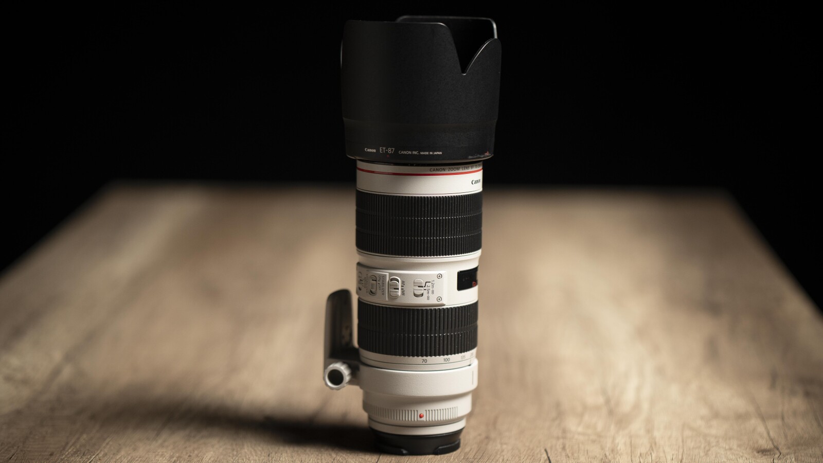 Canon 70-200mm f/2.8 L IS III USM - Photo 1 sur 1