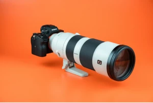 Location Sony FE 200-600mm f/5.6-6.3 G OSS
