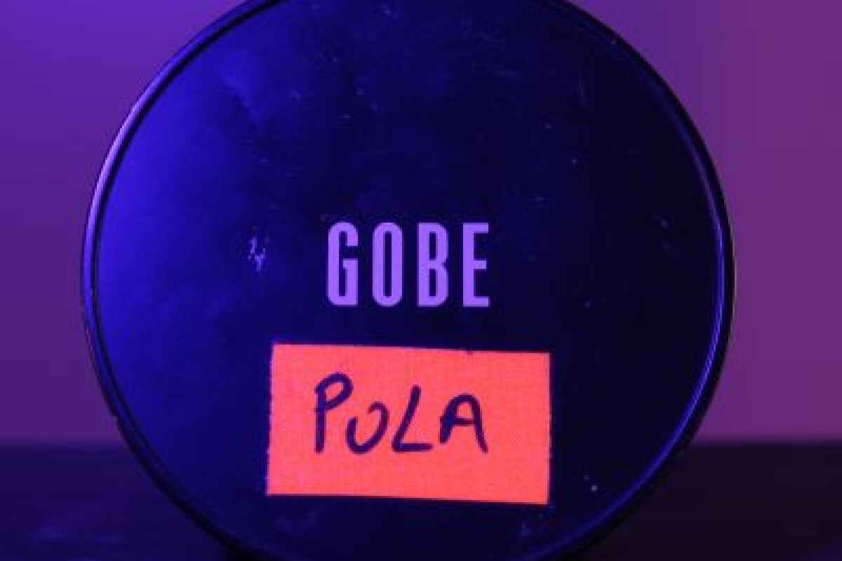 Location FILTRE POLARISANT 72MM - GOBE - Lightyshare