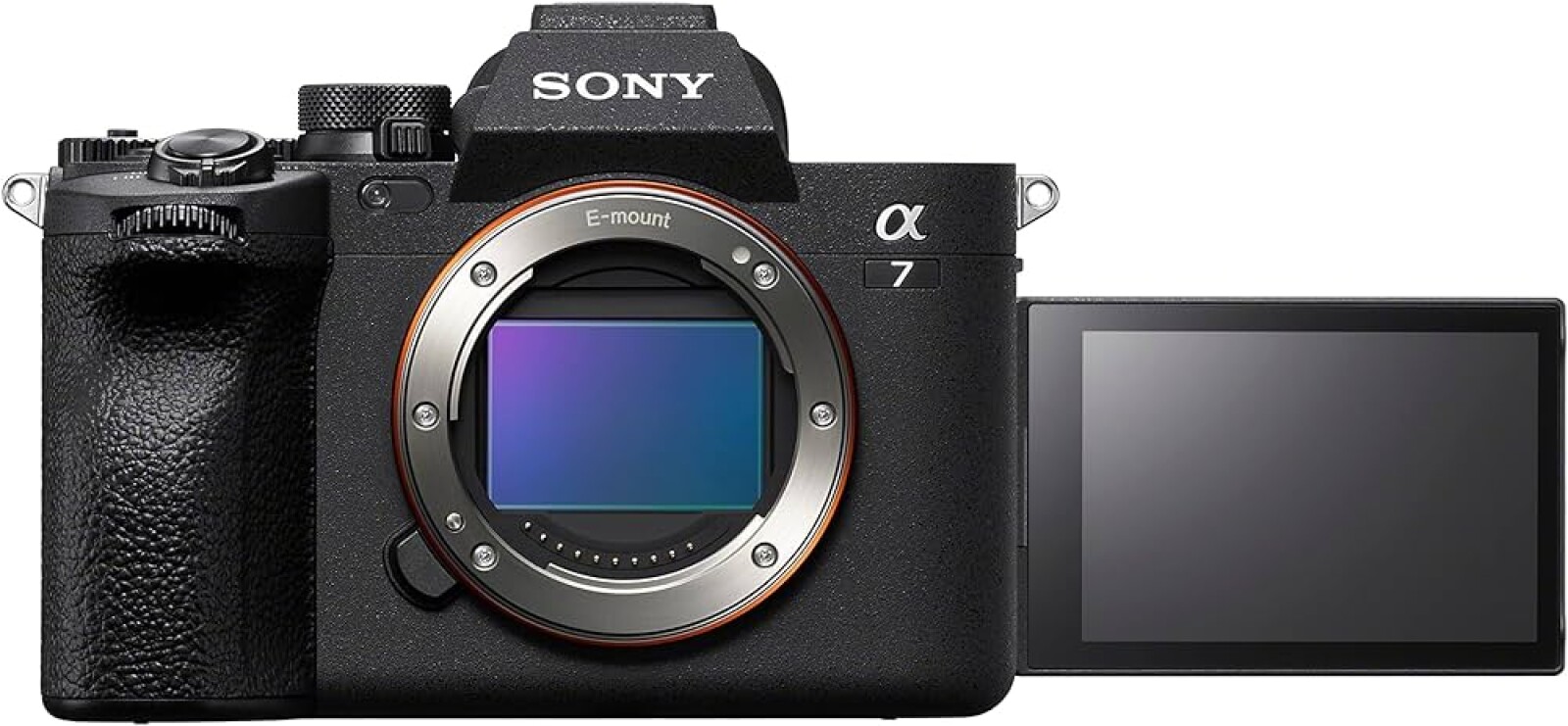 Sony Alpha 7IV - Photo 1 sur 1