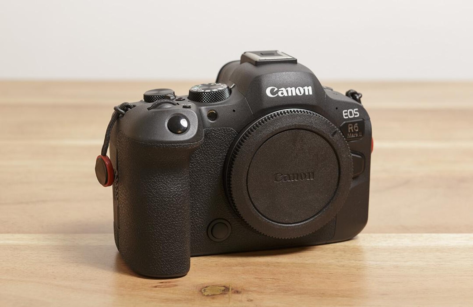 Canon R6 Mark II - Photo 1 sur 7