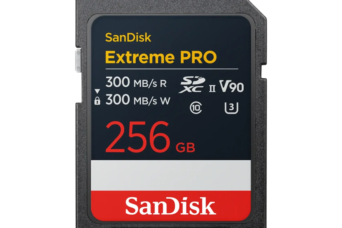 Location SanDisk Carte SD SDXC V90 256 Go - Lightyshare