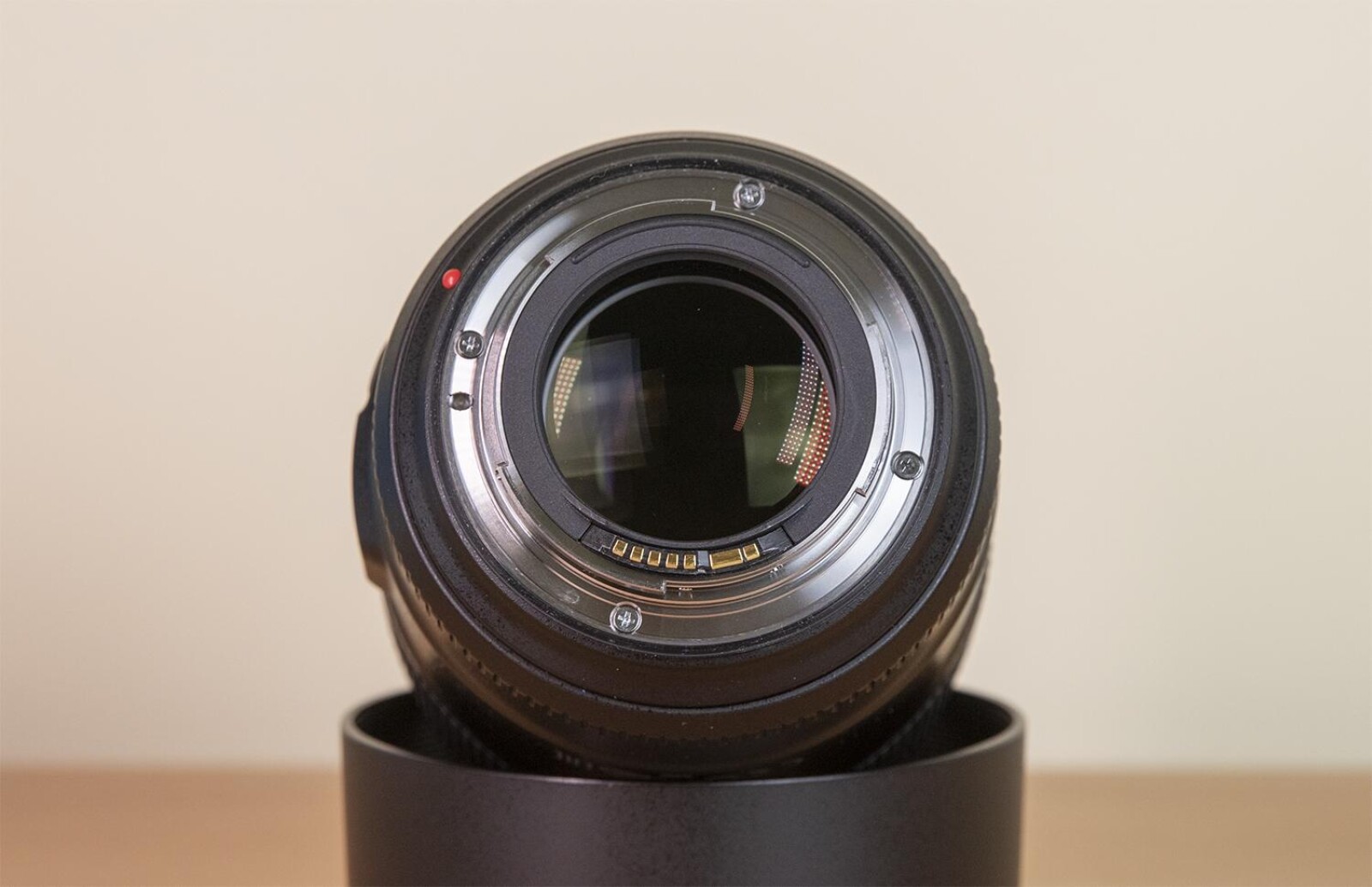 Canon EF 85mm f/1.4L IS USM - Photo 6 sur 6