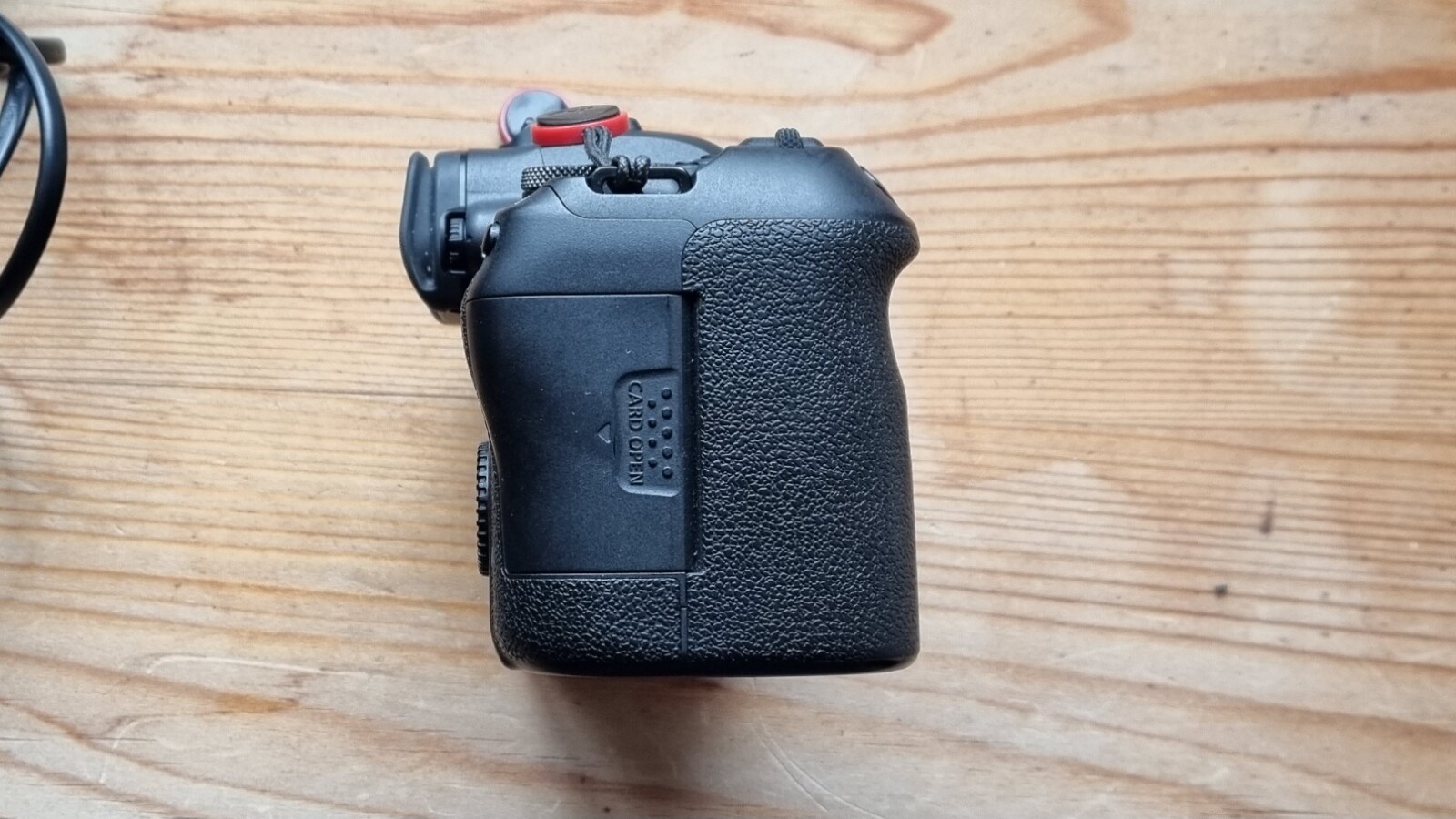 Canon R6 - Photo 7 sur 10