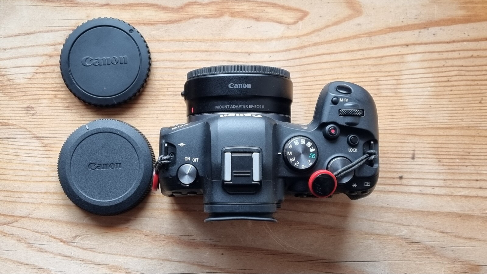 Canon R6 - Photo 9 sur 10