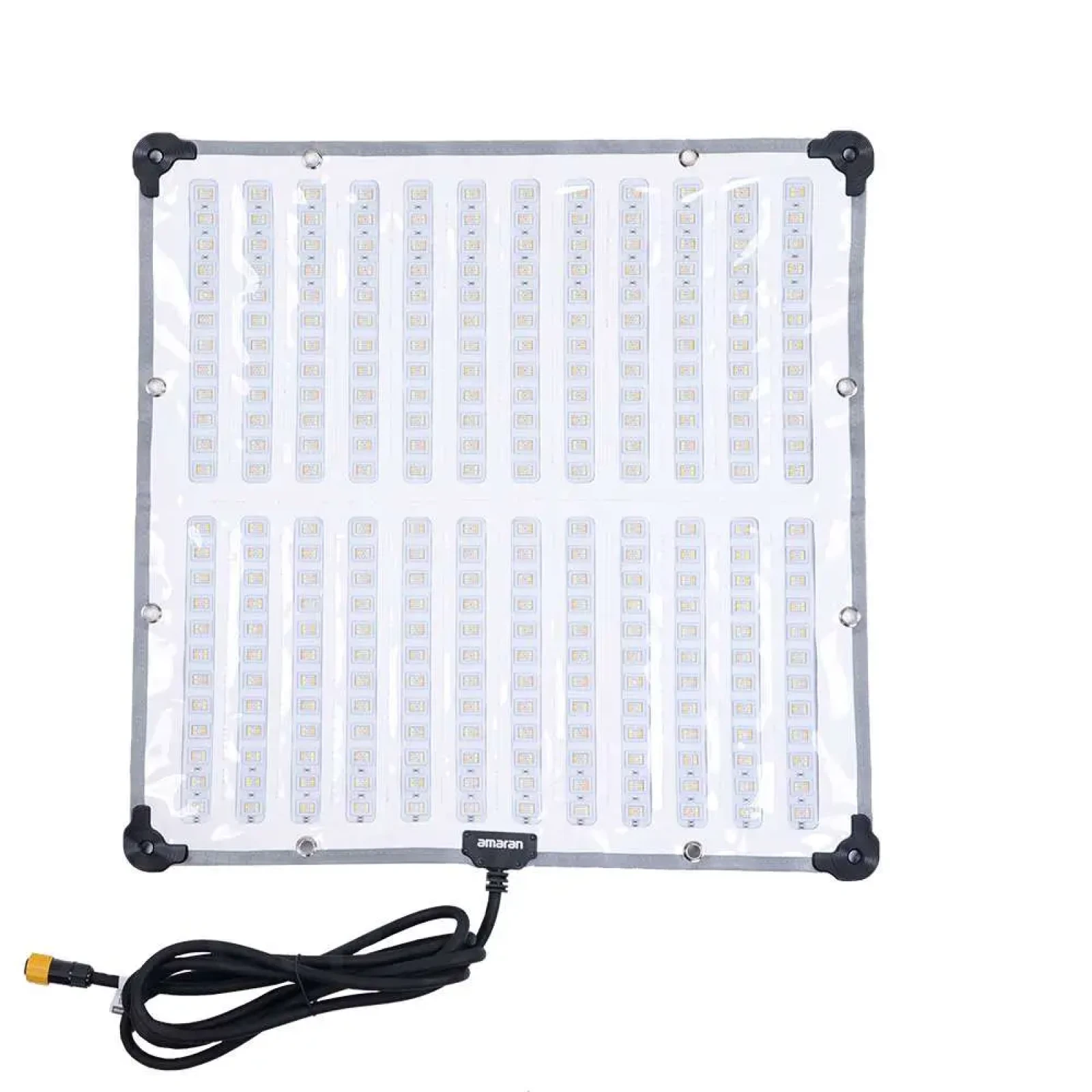 Amaran F22x - Photo 3 sur 3