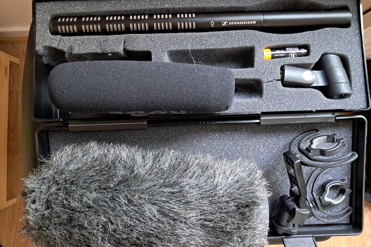 Location Sennheiser ME 66 - Lightyshare