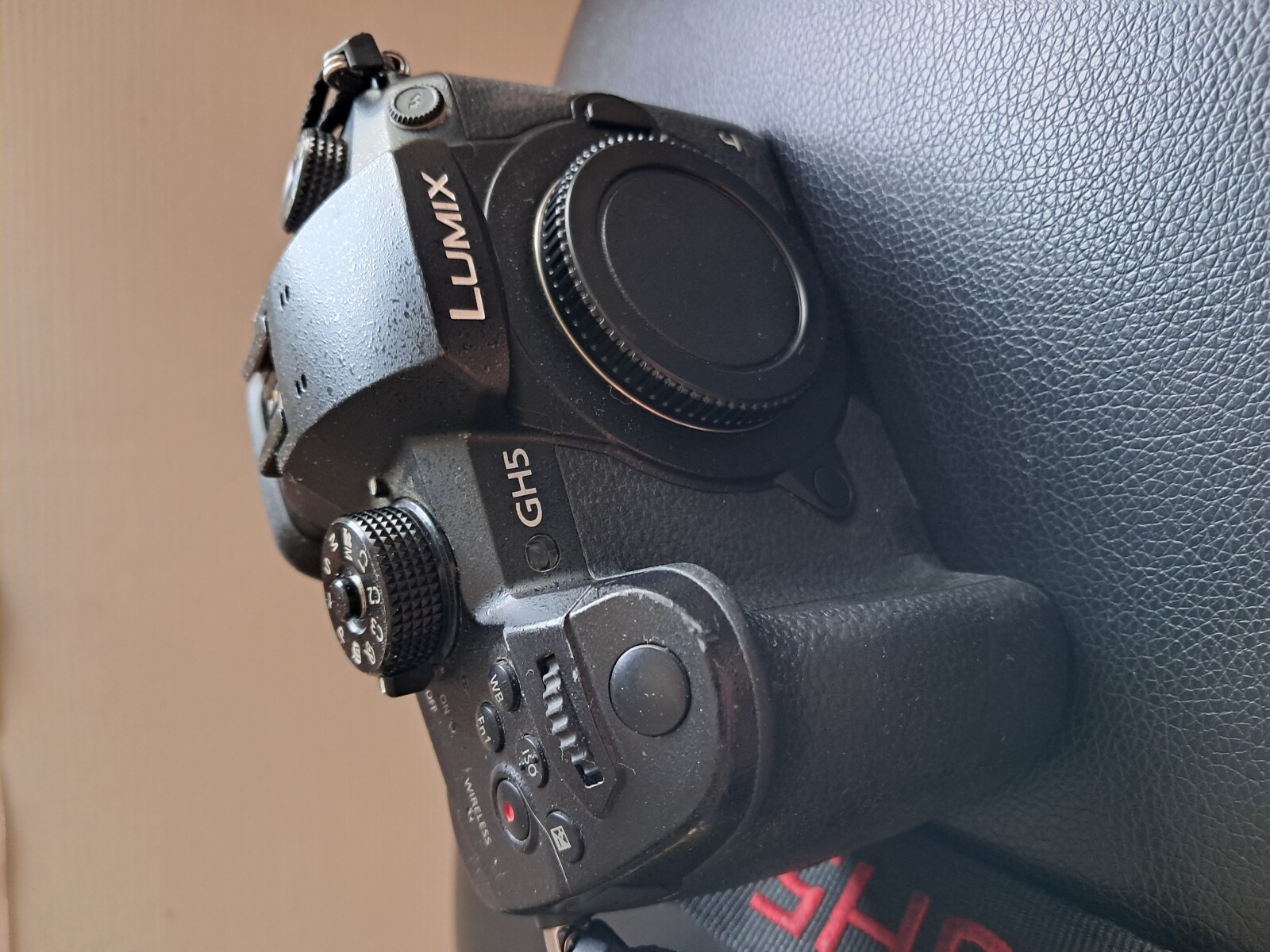 Panasonic LUMIX GH5 - Photo 1 sur 1