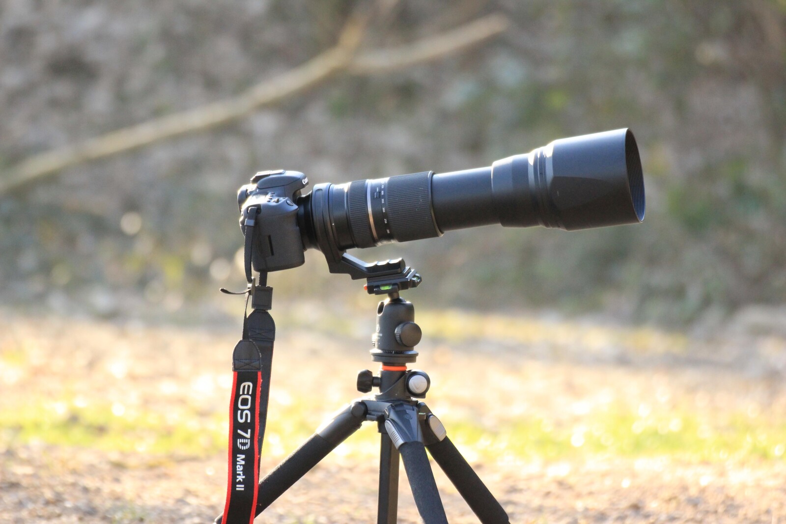 Tamron SP 150-600mm F/5-6.3 Di VC USD pour monture NIKON - Photo 1 sur 3