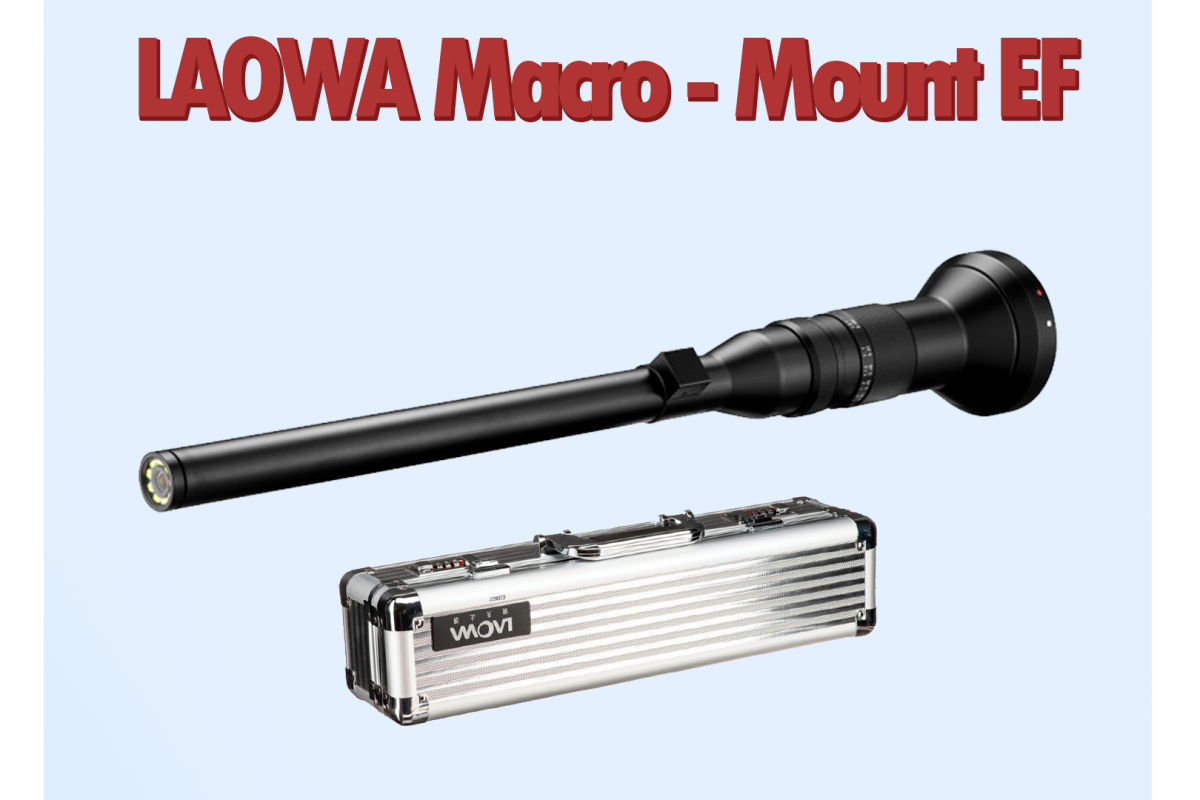 Location LAOWA 24mm Macro f/14 - Monture EF - Lightyshare