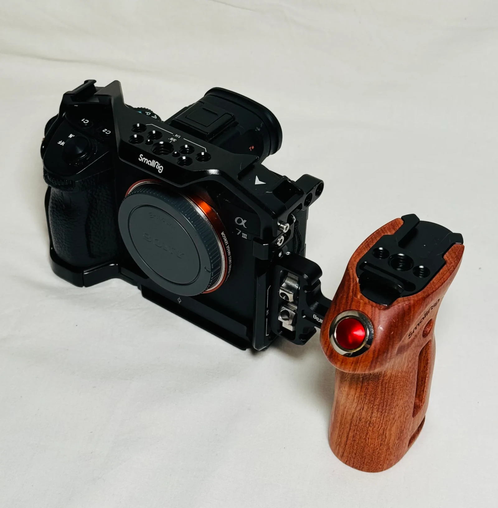 Sony Alpha 7 III (A73) - Photo 4 sur 5