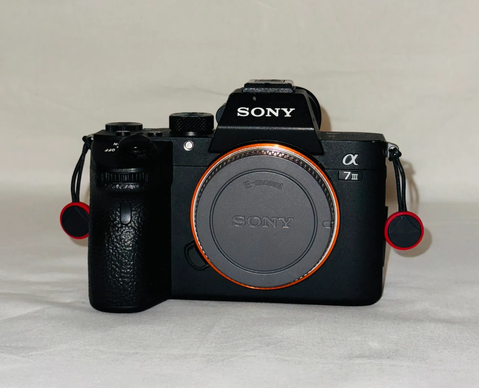 Sony Alpha 7 III (A73) - Photo 3 sur 5