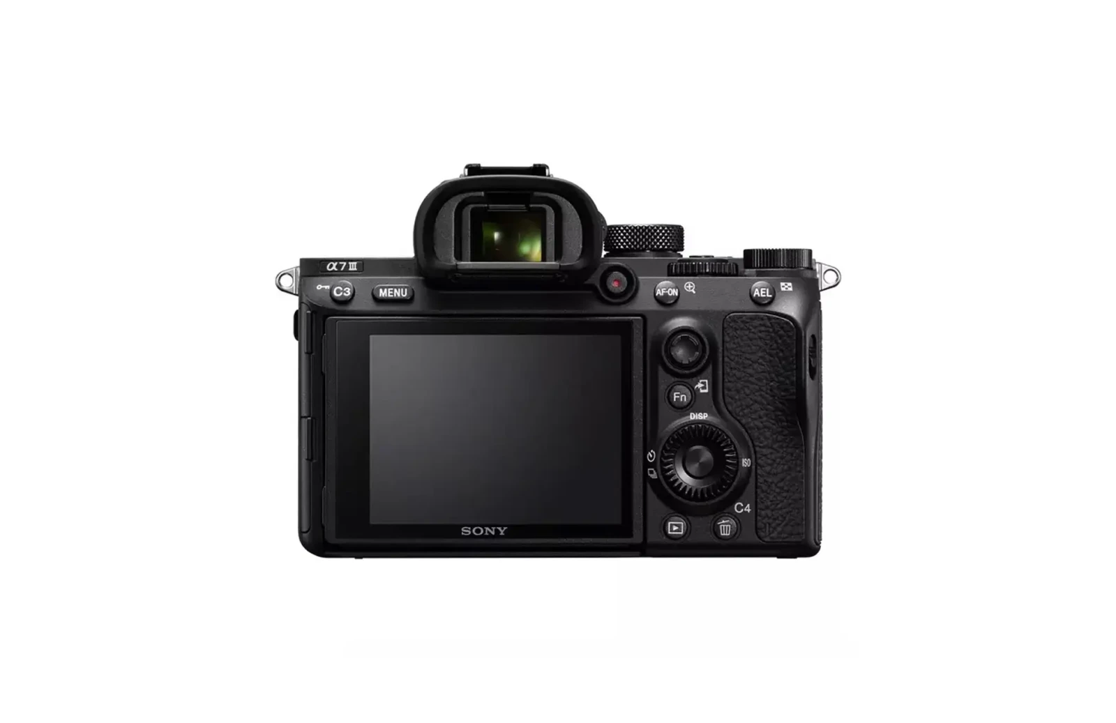 Sony Alpha 7 III (A73) - Photo 2 sur 4