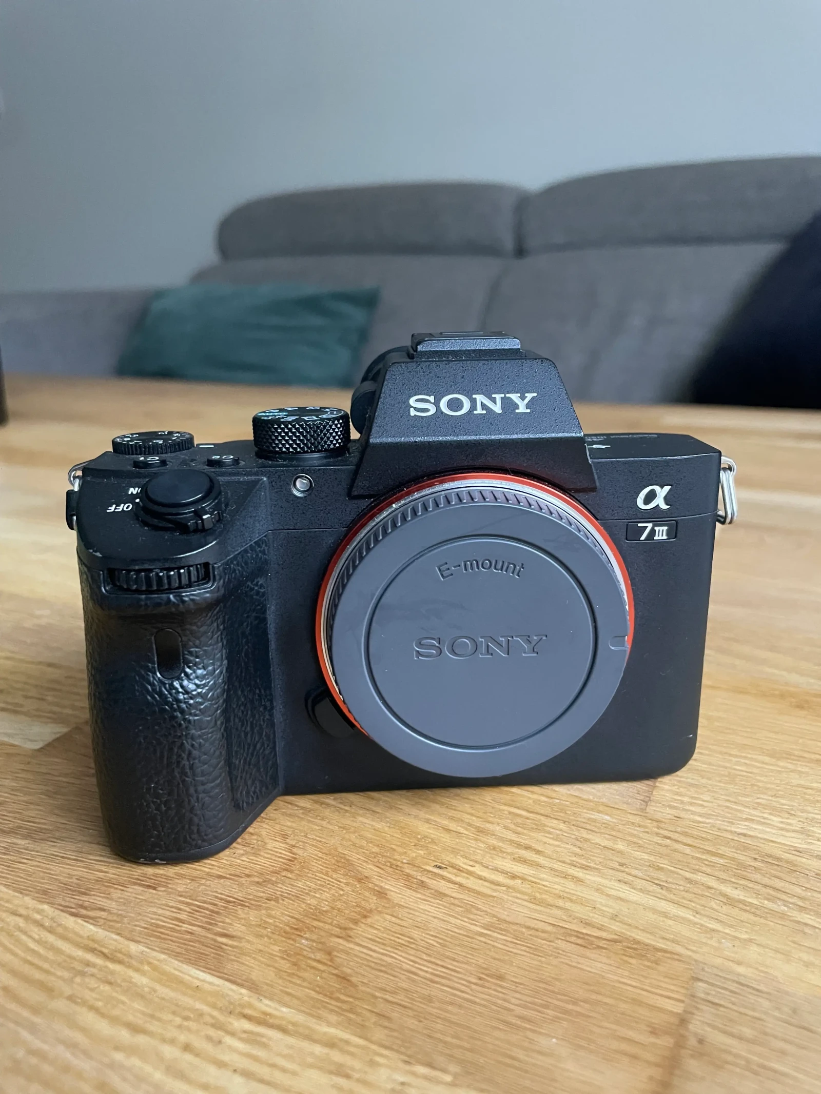 Sony Alpha 7 III (A73) - Photo 1 sur 3