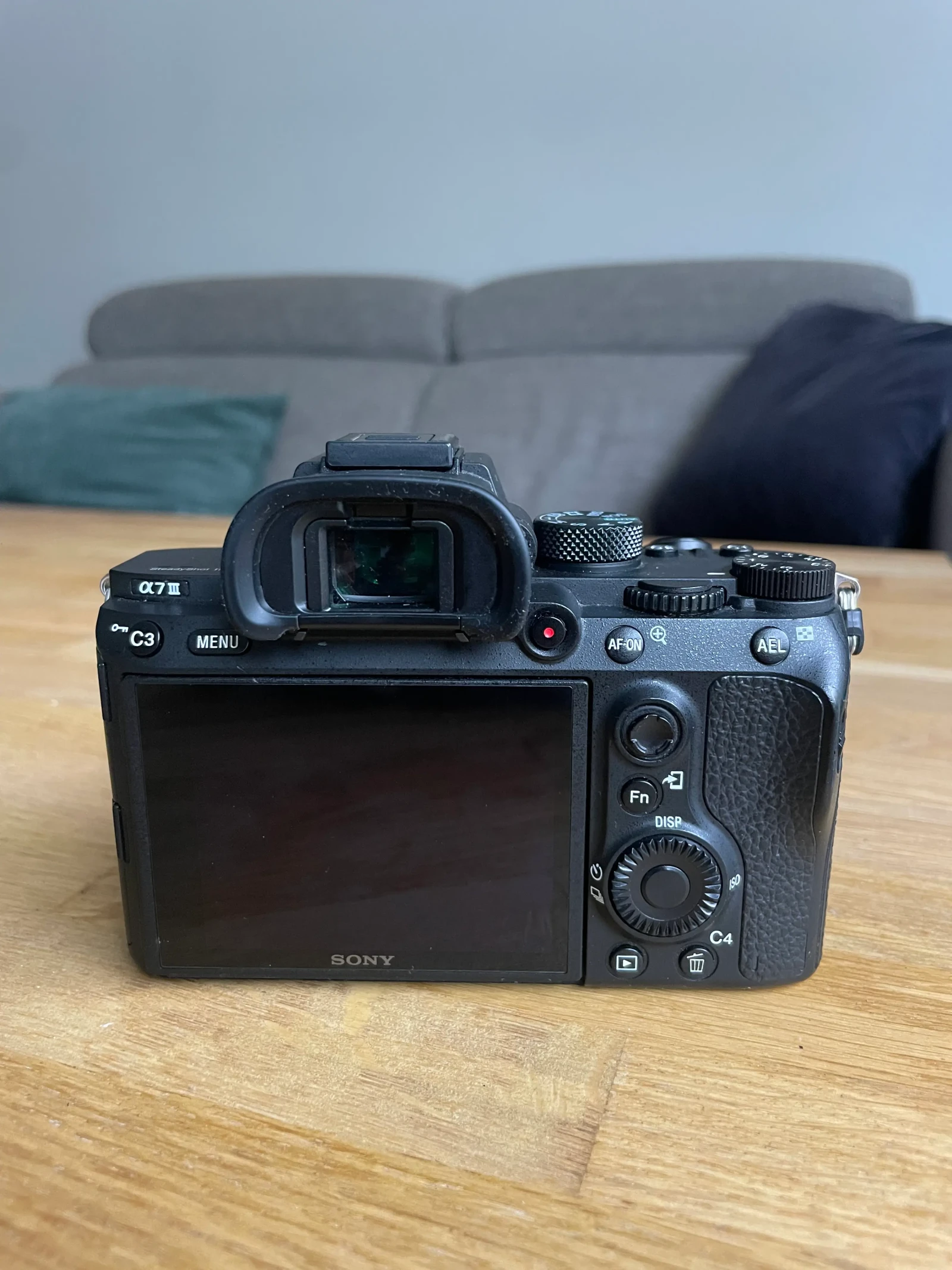Sony Alpha 7 III (A73) - Photo 3 sur 3