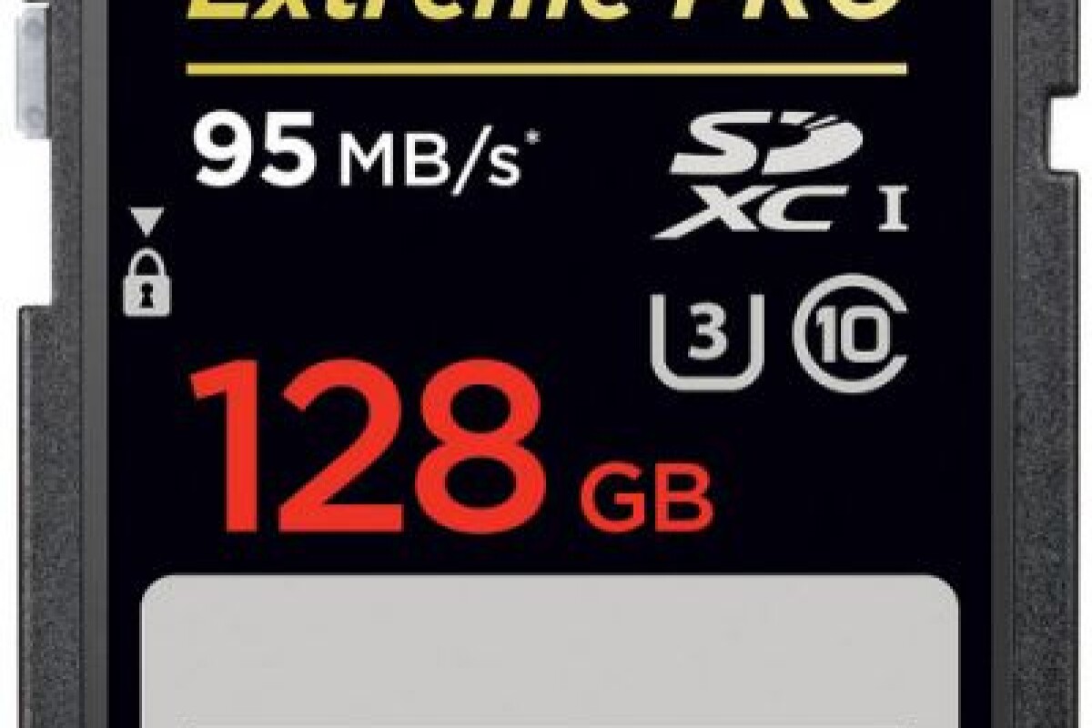 Location SanDisk Extreme Pro SDXC195 Mo/s 633x 128 Go C10 U3 4k - Lightyshare