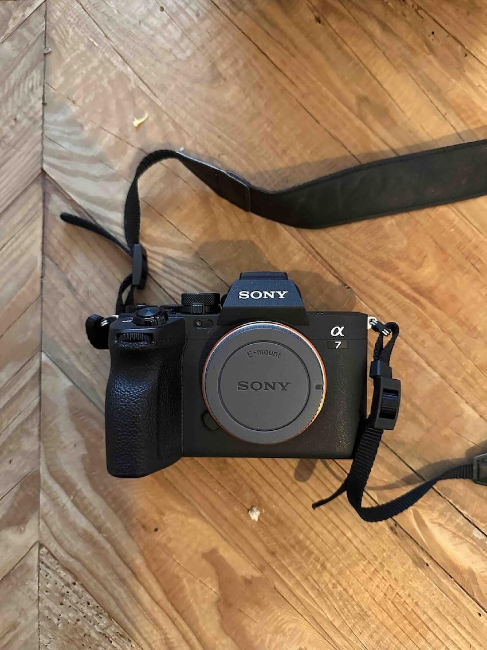 Location SONY Alpha A7 IV / A 7 IV + (2x batteries / 1x Carte SD 64 Go) - Photo 2 sur 2