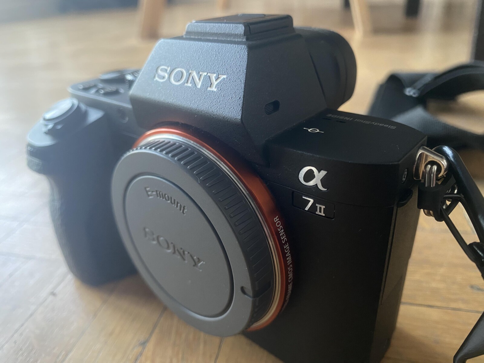 Sony Alpha 7 II (A72) - Photo 2 sur 5