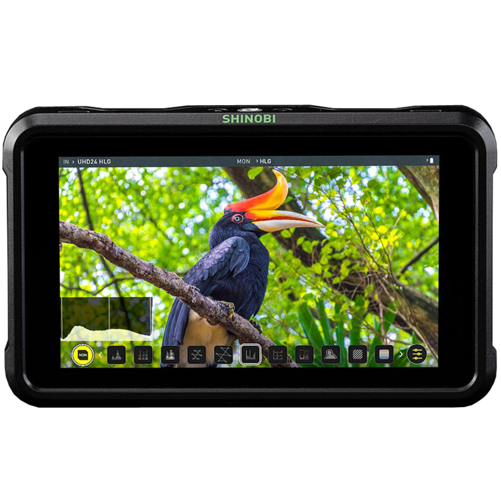 Atomos Shinobi - Photo 1 sur 3